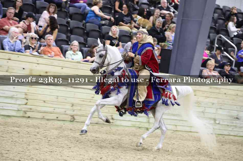 Proof 23R13_11291