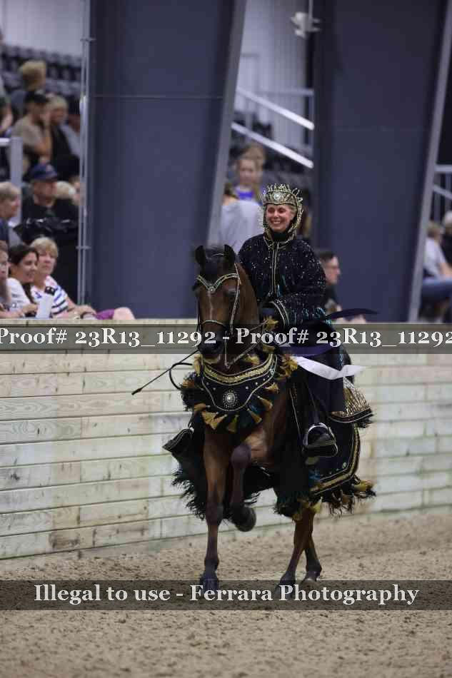 Proof 23R13_11292