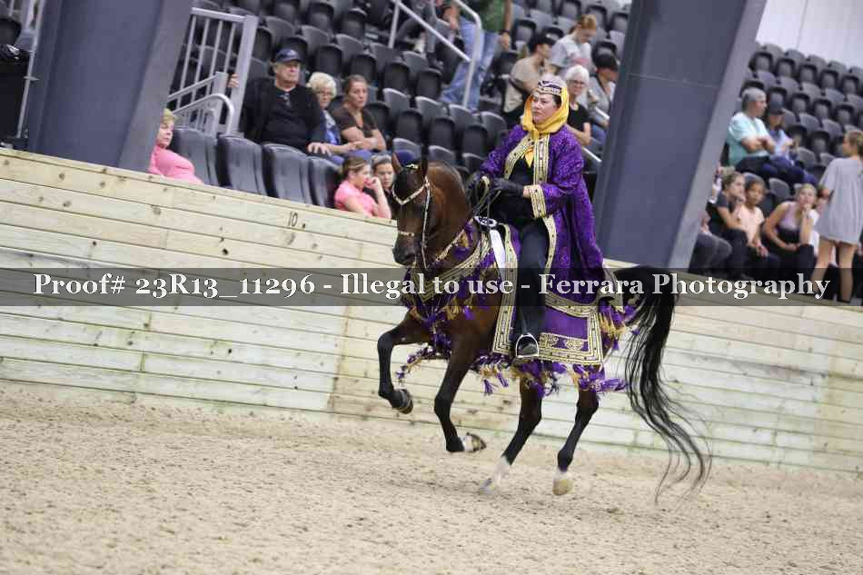 Proof 23R13_11296