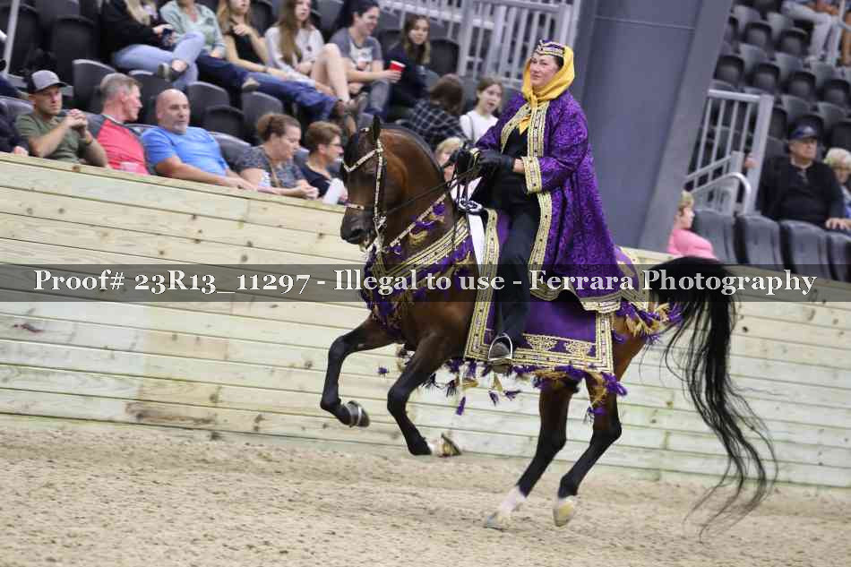 Proof 23R13_11297