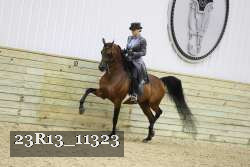 23R13_11323 proof