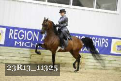 23R13_11325 proof