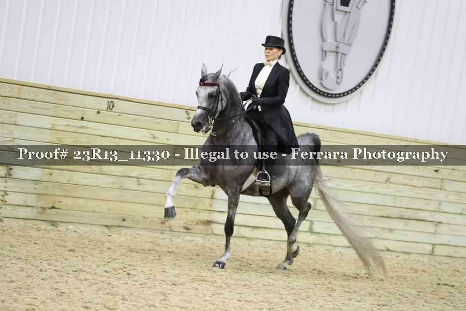 Proof 23R13_11330