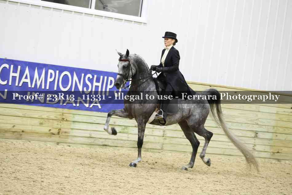 Proof 23R13_11331
