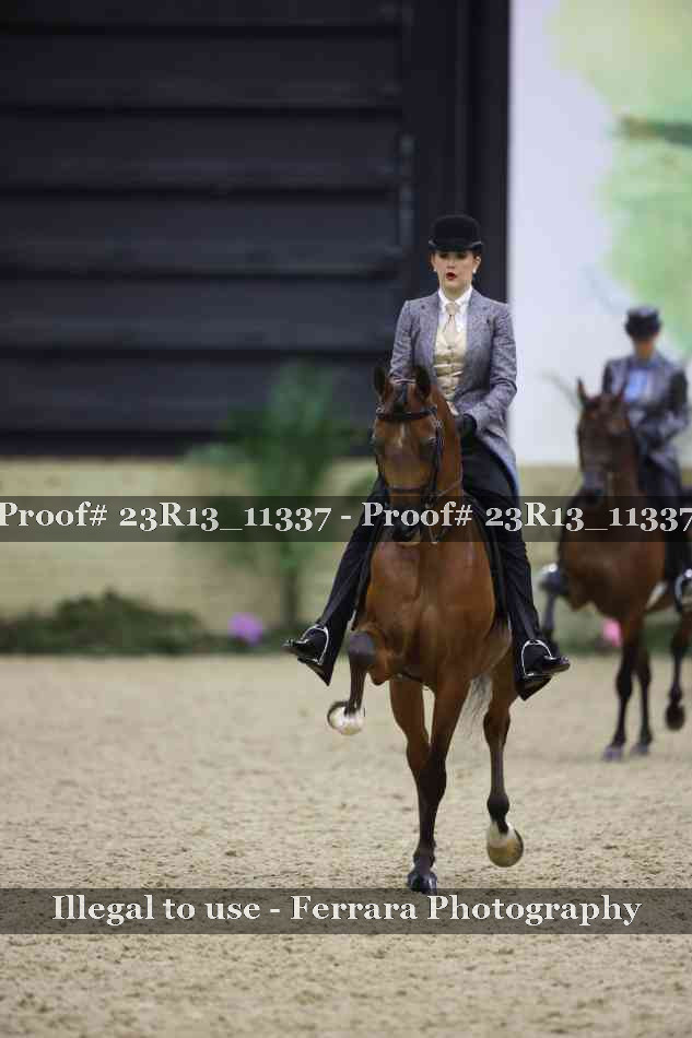 Proof 23R13_11337