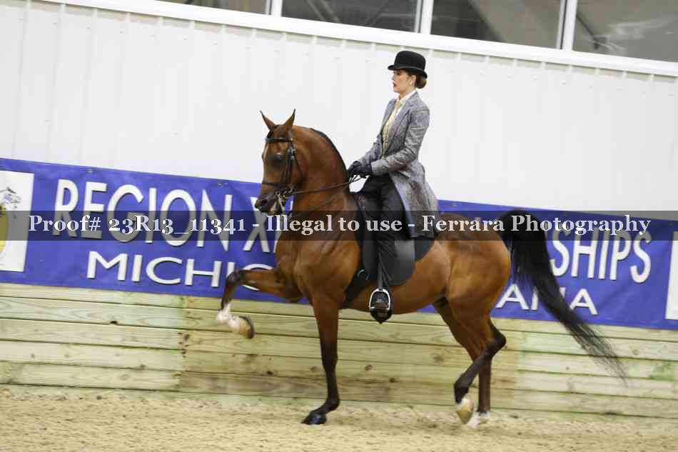 Proof 23R13_11341