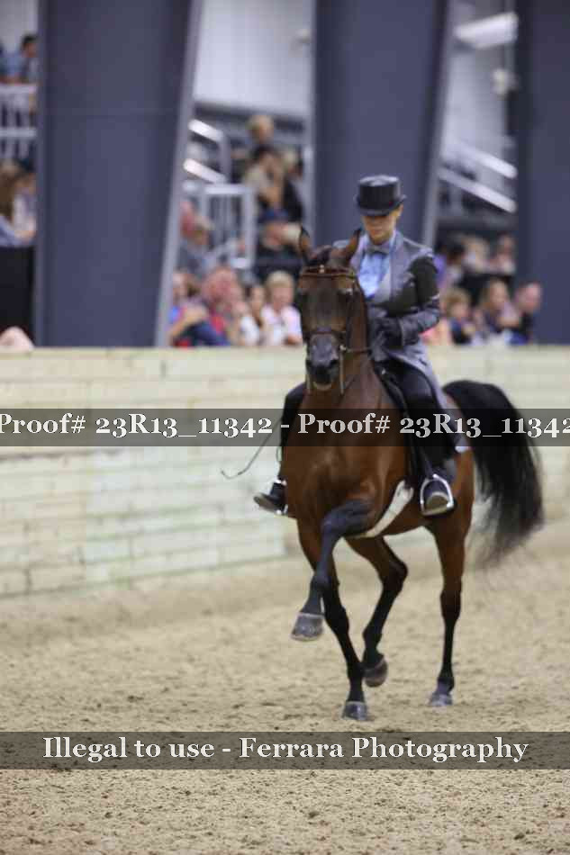 Proof 23R13_11342