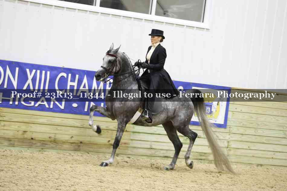 Proof 23R13_11344