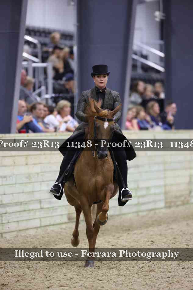Proof 23R13_11348
