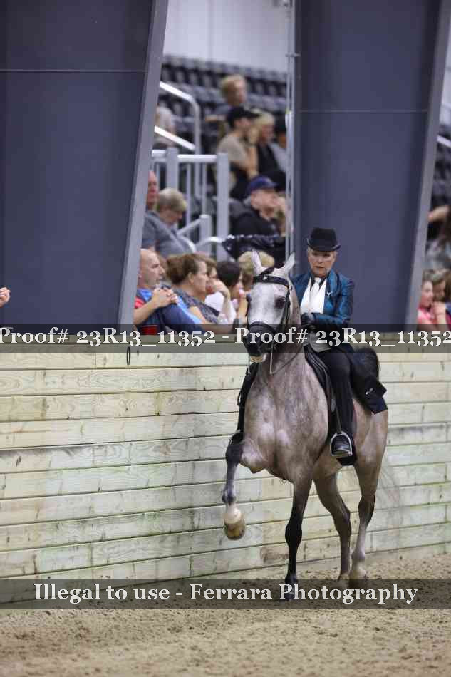 Proof 23R13_11352