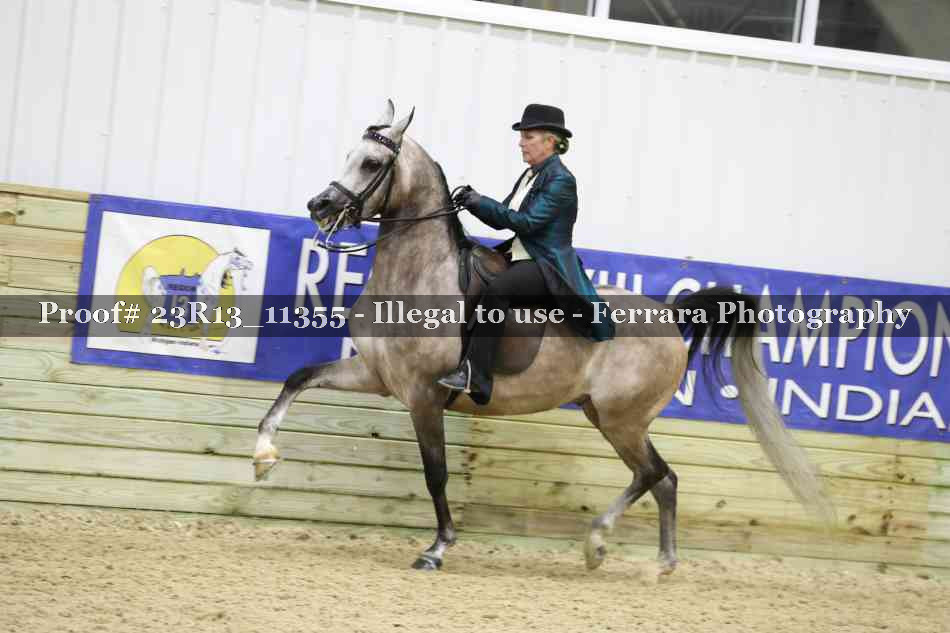 Proof 23R13_11355