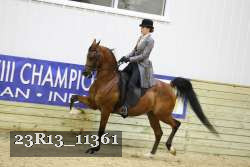 23R13_11361 proof