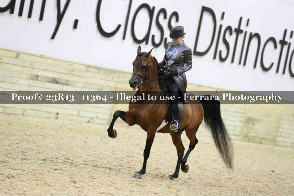 Proof 23R13_11364