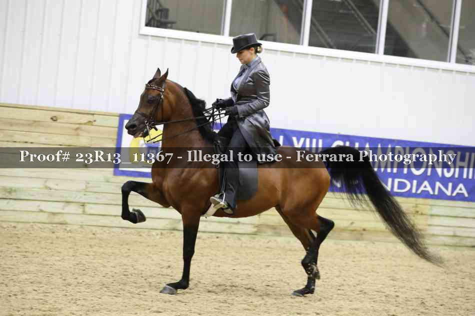 Proof 23R13_11367