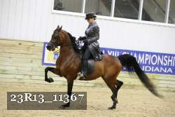 23R13_11367 proof