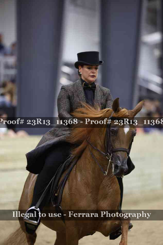 Proof 23R13_11368