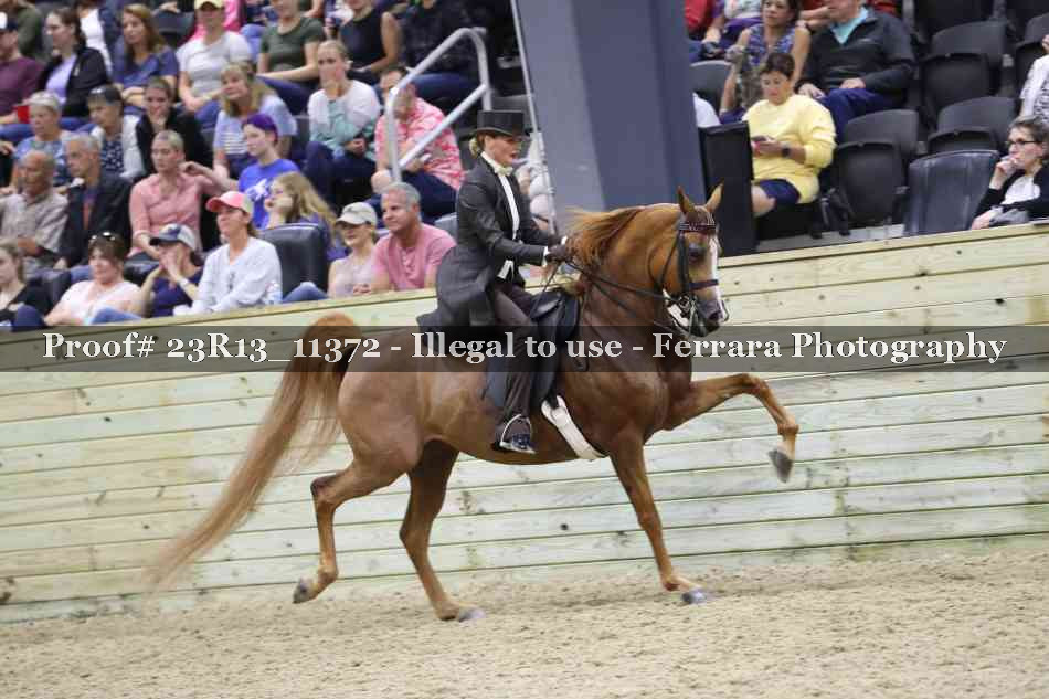 Proof 23R13_11372