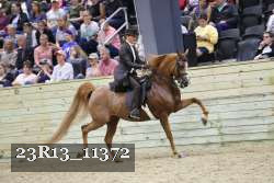 23R13_11372 proof