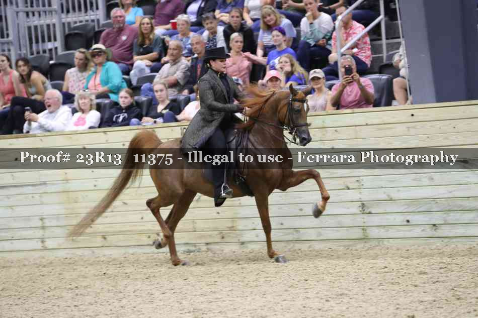 Proof 23R13_11375