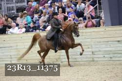 23R13_11375 proof
