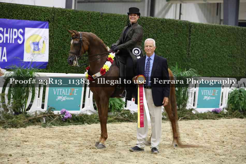 Proof 23R13_11384