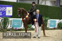 23R13_11384 proof