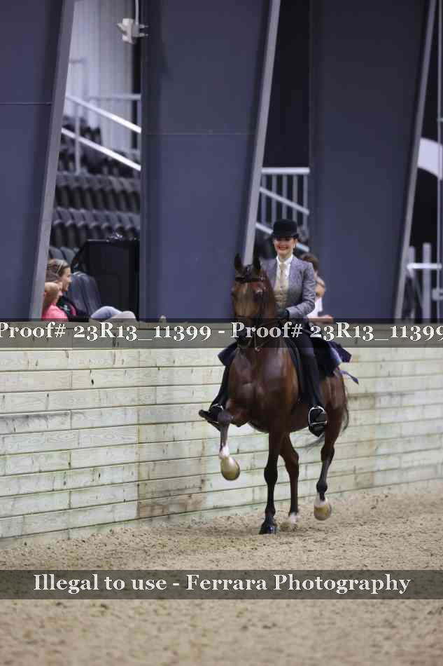 Proof 23R13_11399