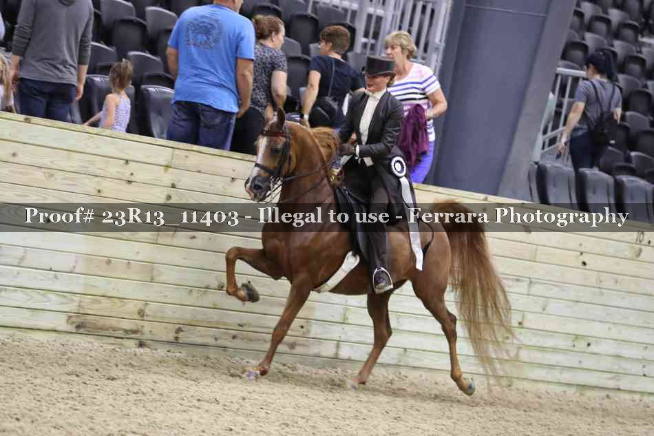 Proof 23R13_11403