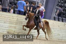 23R13_11403 proof