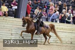 23R13_11407 proof