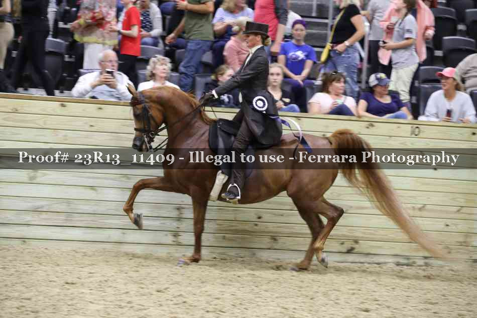 Proof 23R13_11409