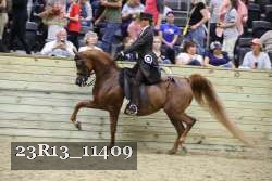 23R13_11409 proof