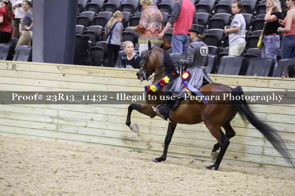 Proof 23R13_11432