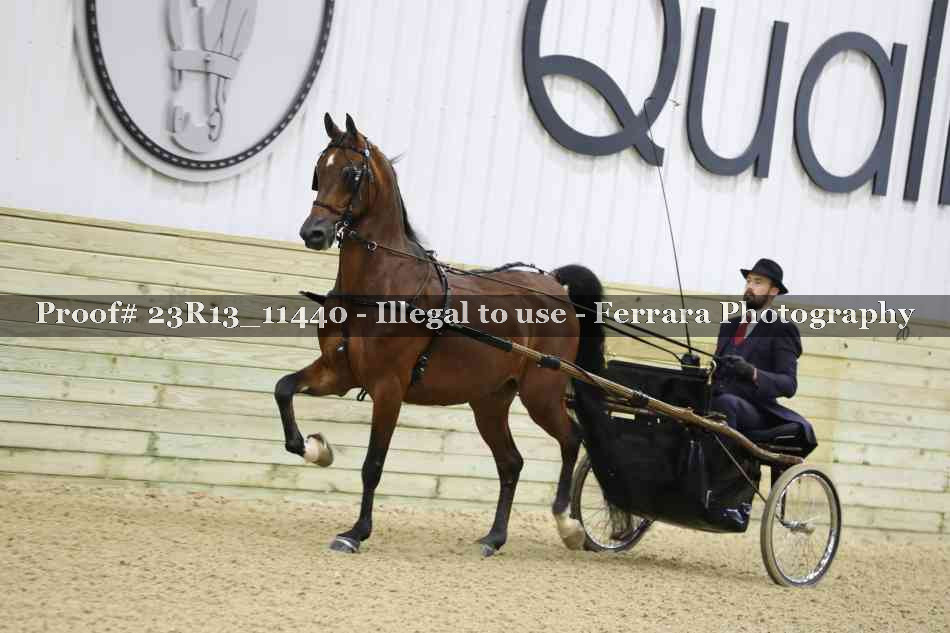 Proof 23R13_11440