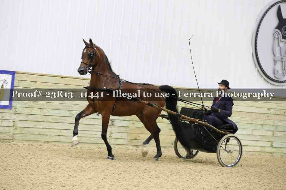 Proof 23R13_11441