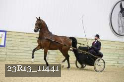 23R13_11441 proof