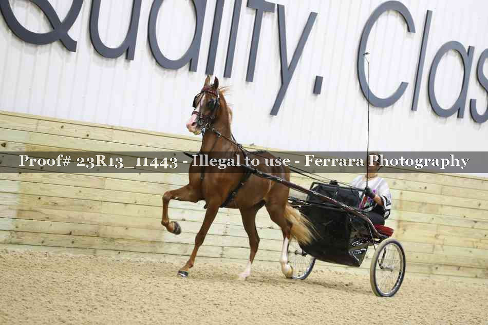 Proof 23R13_11443