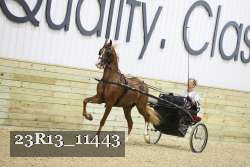 23R13_11443 proof