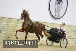 23R13_11444 proof