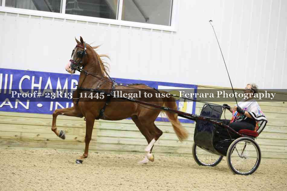 Proof 23R13_11445