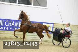 23R13_11445 proof