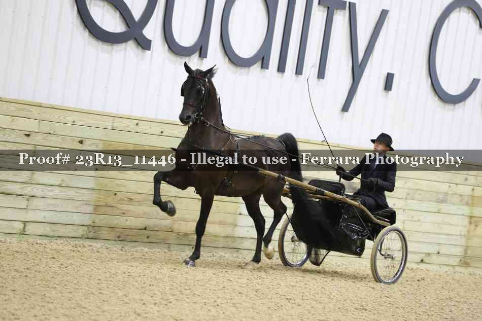 Proof 23R13_11446