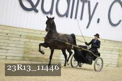 23R13_11446 proof