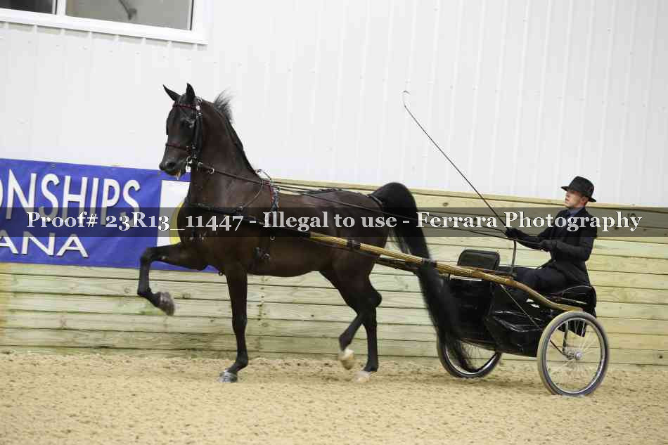 Proof 23R13_11447
