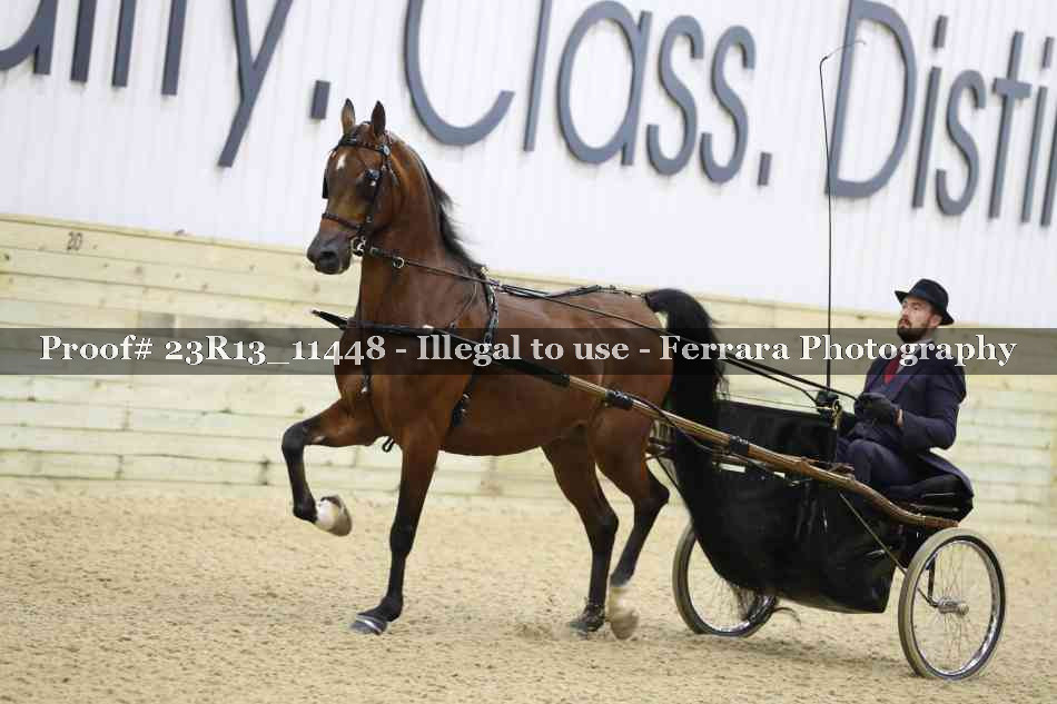 Proof 23R13_11448