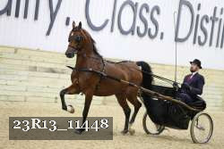 23R13_11448 proof