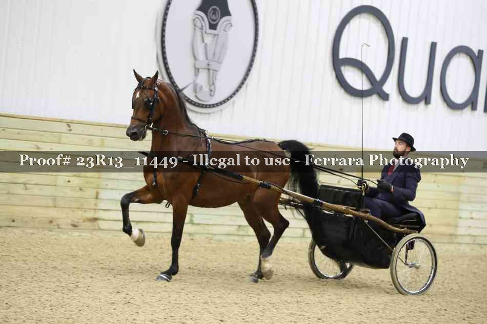 Proof 23R13_11449