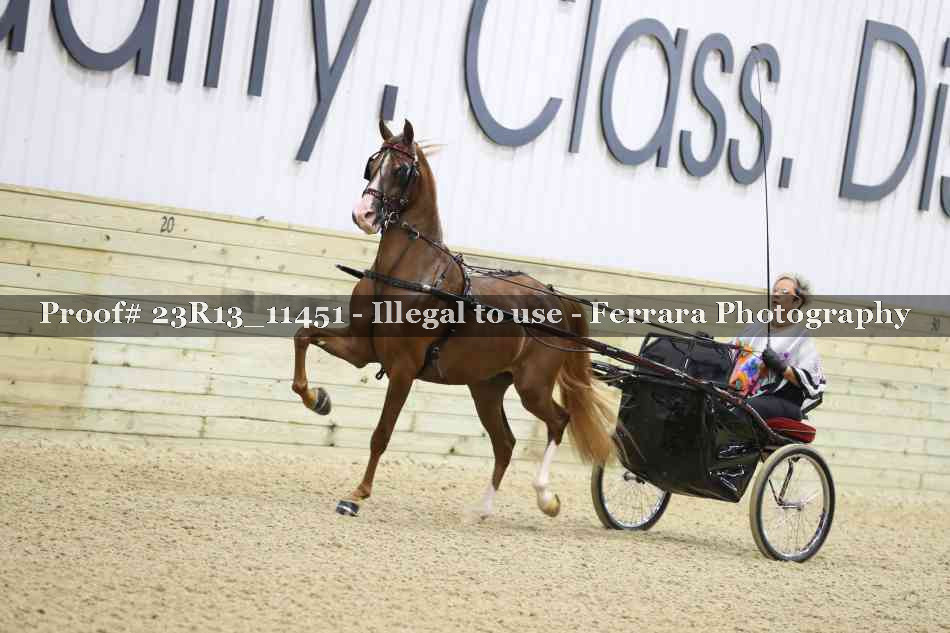 Proof 23R13_11451