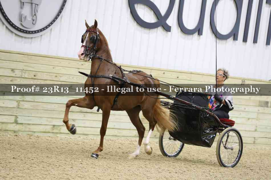 Proof 23R13_11452