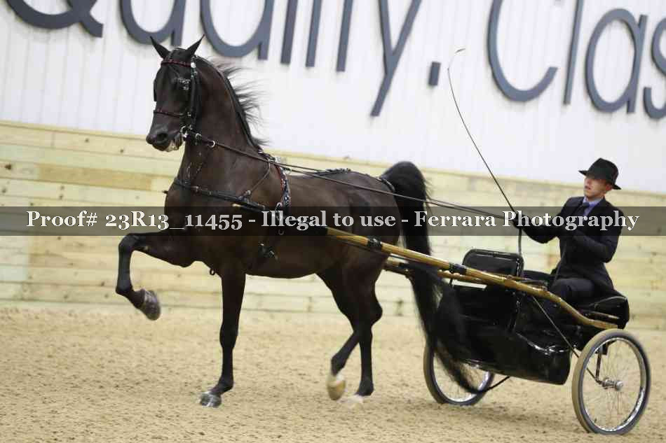 Proof 23R13_11455